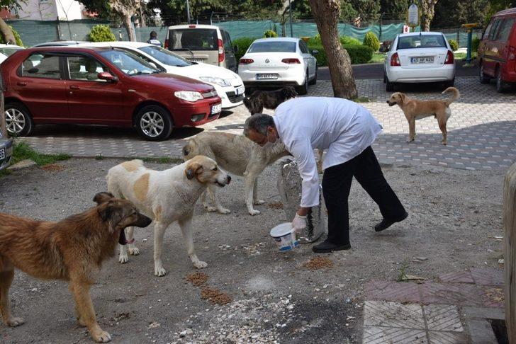 Manisa’da sokak hayvanları ihmal edilmiyor G5
