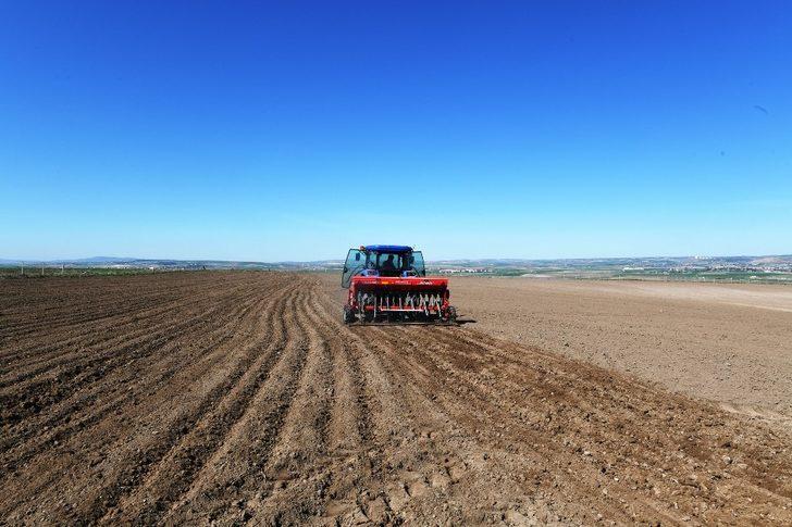 Büyükşehir Belediyesine ait tarım arazilerinde üretim başlıyor G3