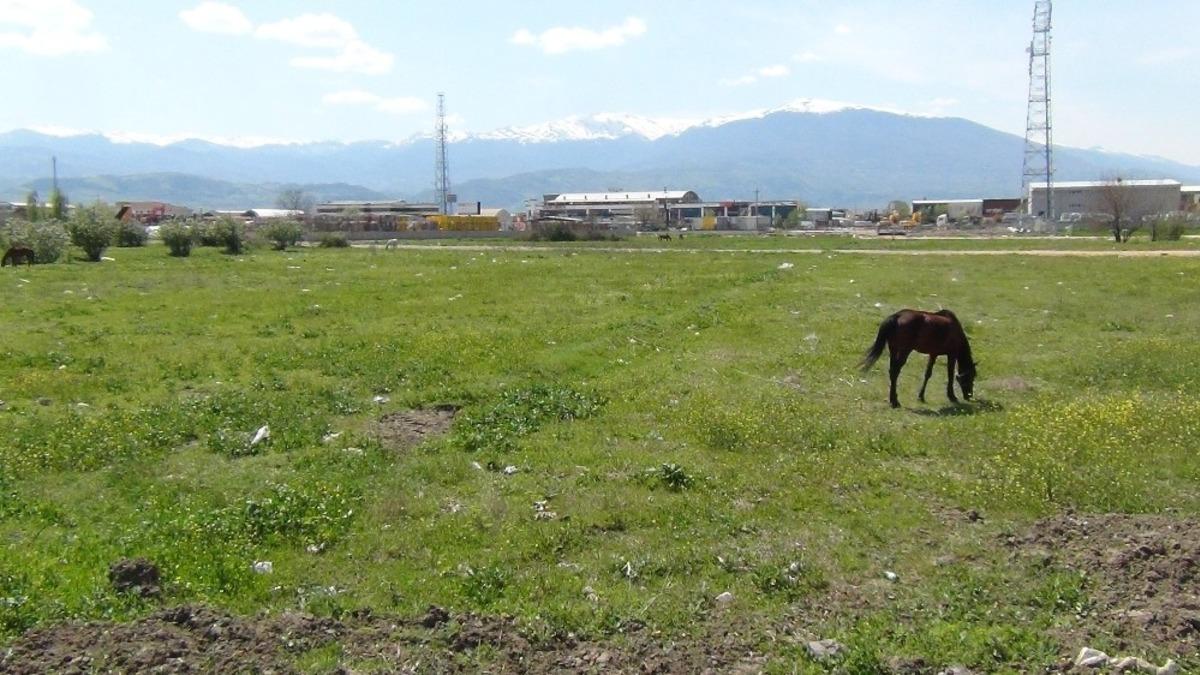 İneg&ouml;l&rsquo;de sokağa &ccedil;ıkma kısıtlamasının ikinci g&uuml;n&uuml; b&ouml;yle ge&ccedil;ti