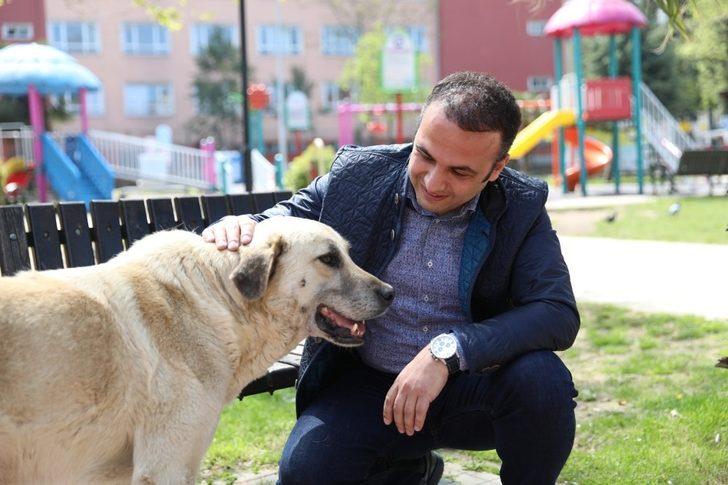 Başkan, sokak hayvanlarını kendi elleriyle besledi G1