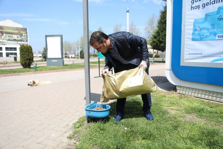 Başkan, sokak hayvanlarını kendi elleriyle besledi G2