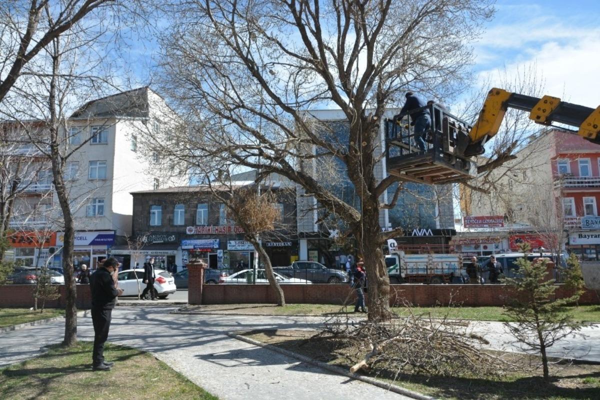 Milli Egemenlik Parkı&rsquo;daki ağa&ccedil;lar budanıyor