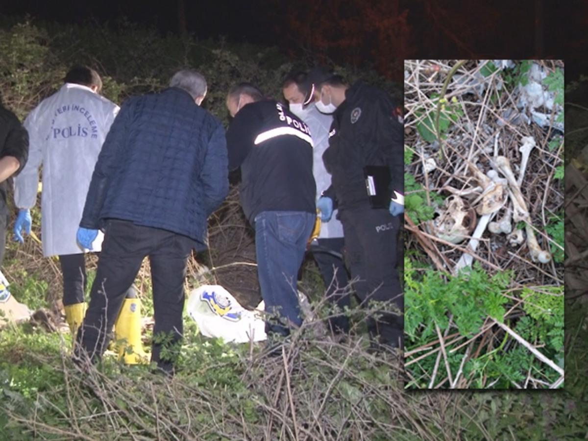 Avcılar'da &ccedil;ok sayıda kemik ve kafatası bulundu