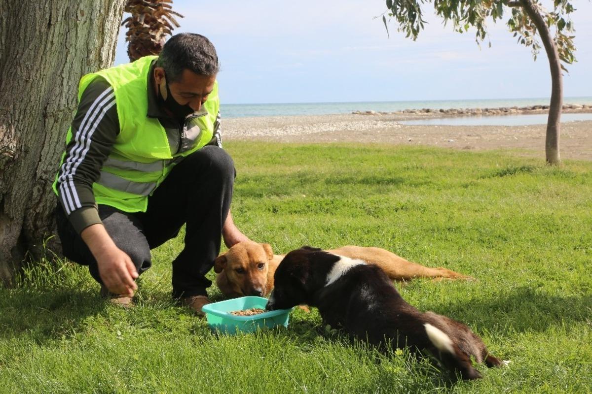 Erdemli&rsquo;de sokak hayvanları unutulmadı