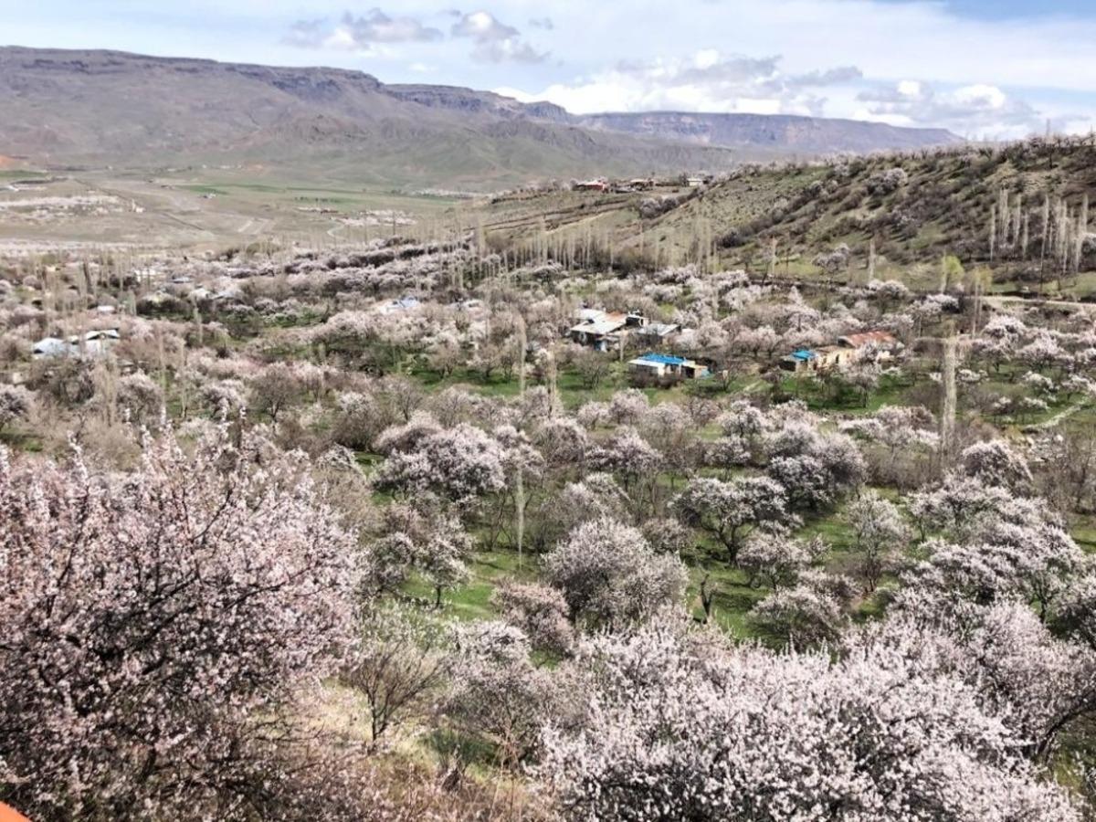 Kağızman beyaza b&uuml;r&uuml;nd&uuml;