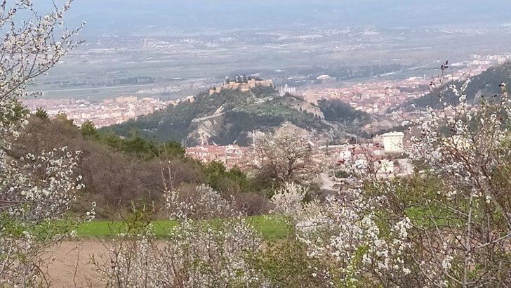 Kütahya’da erik ve baden ağaçları çiçek açtı G5