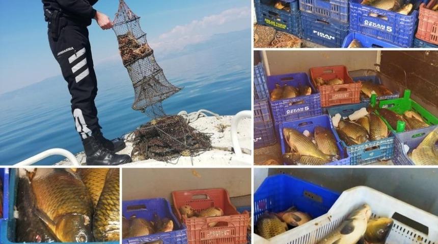 Jandarmadan kaçak balık avcılarına operasyon