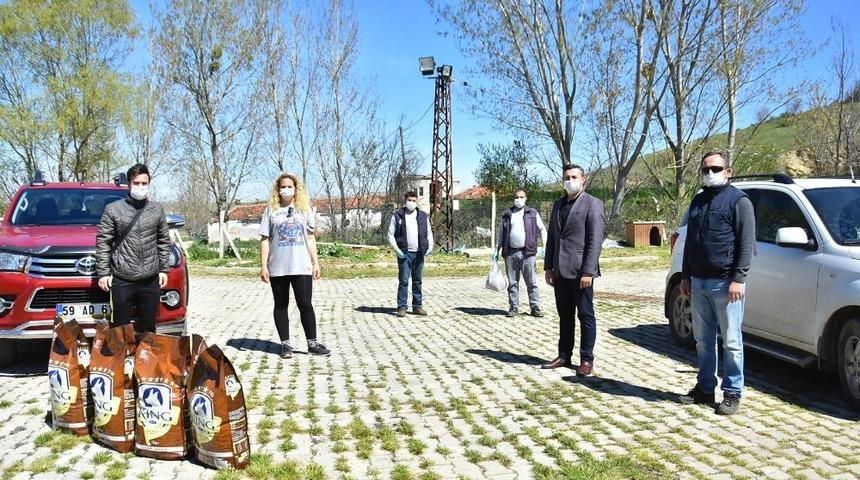 Hayvansever kadından sokak hayvanlarına yardım eli