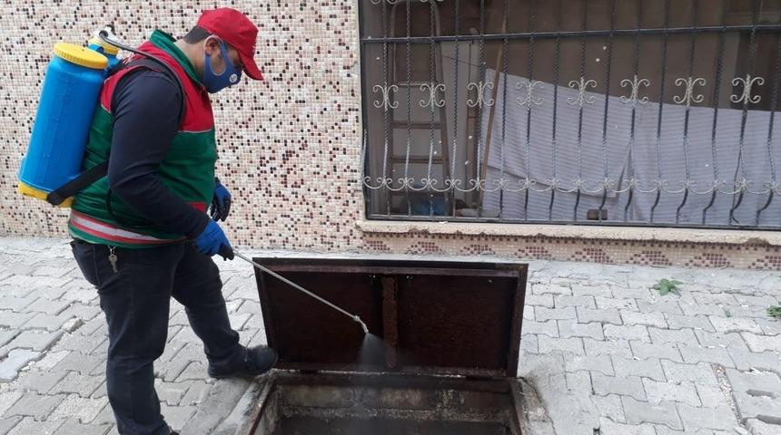 Karak&ouml;pr&uuml;&rsquo;de larva m&uuml;cadelesi