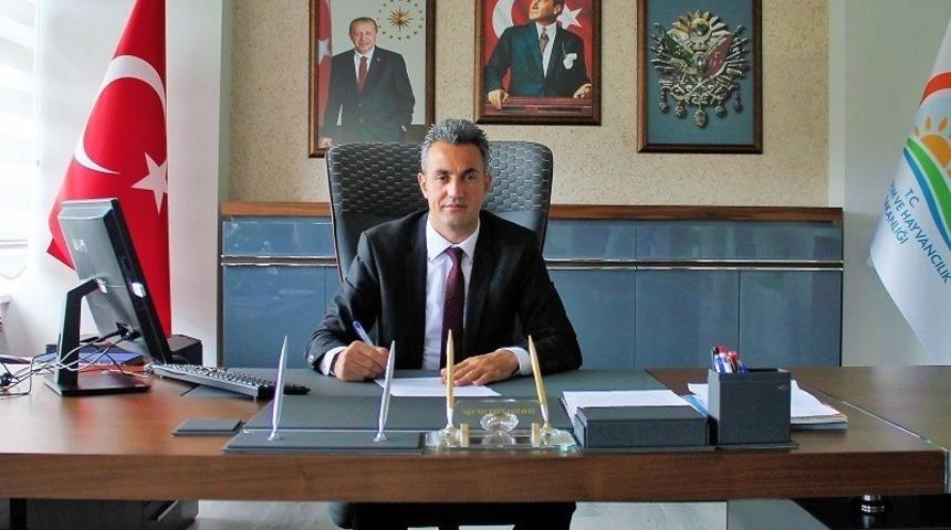 &Ccedil;iğ s&uuml;t desteklemesi &ouml;demeleri başladı