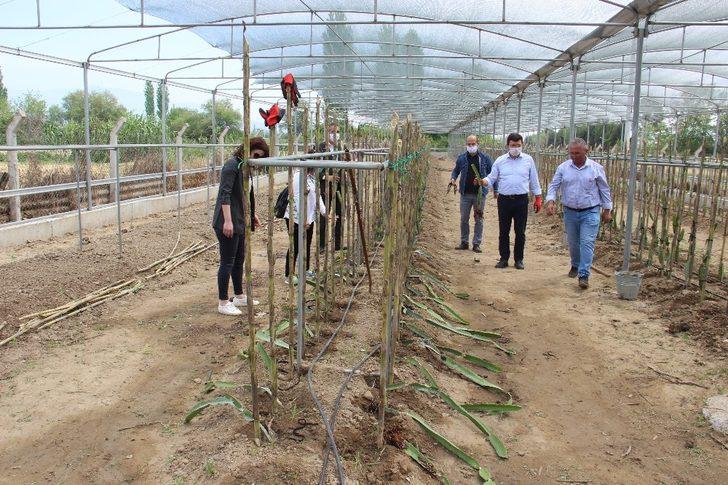 Kaymakam Şahin, hayalini toprakla buluşturdu G4