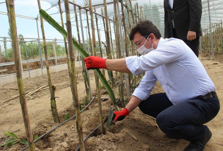 Kaymakam Şahin, hayalini toprakla buluşturdu G5