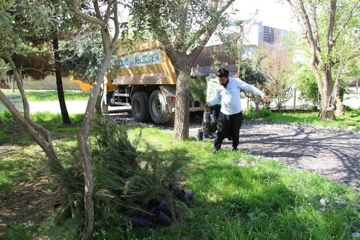 Haliliye kırsalında vatandaşlara fidan dağıtıldı G1