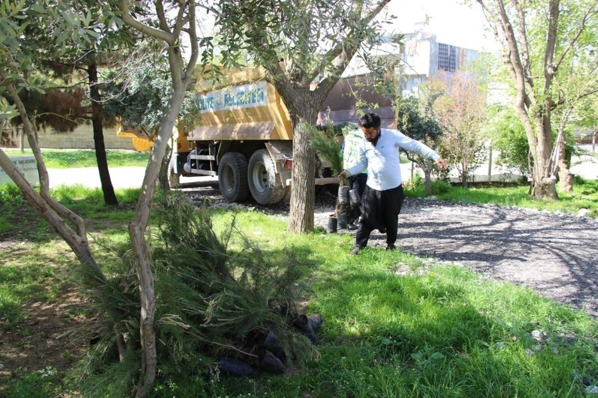 Haliliye kırsalında vatandaşlara fidan dağıtıldı