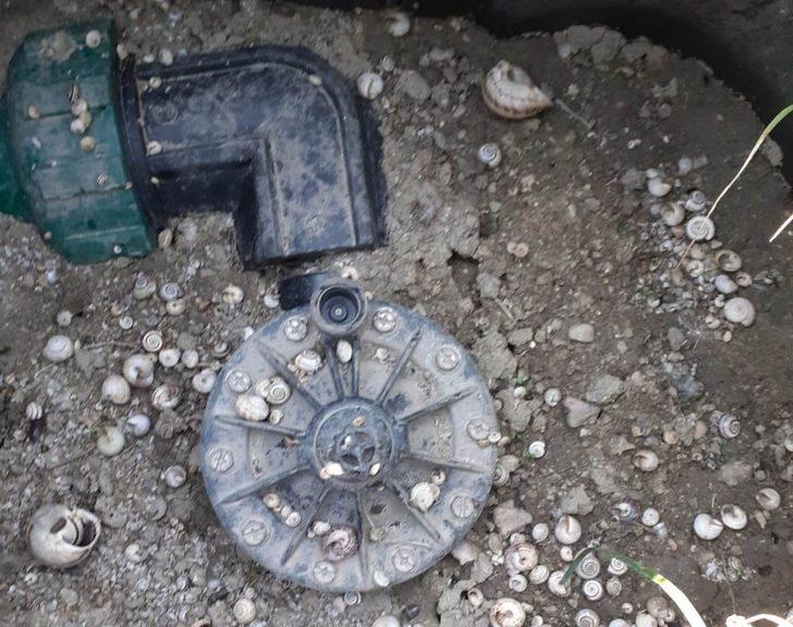 Kamu malını çaldılar, kameralara takıldılar G1