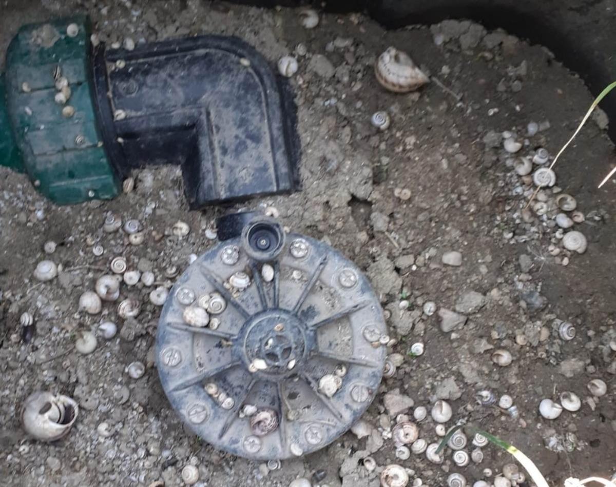 Kamu malını &ccedil;aldılar, kameralara takıldılar