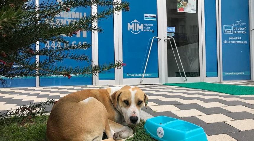 Limak Enerji’den içi ısıtan proje