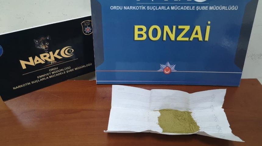 Ordu&rsquo;da bir ara&ccedil;ta bonzai ele ge&ccedil;irildi