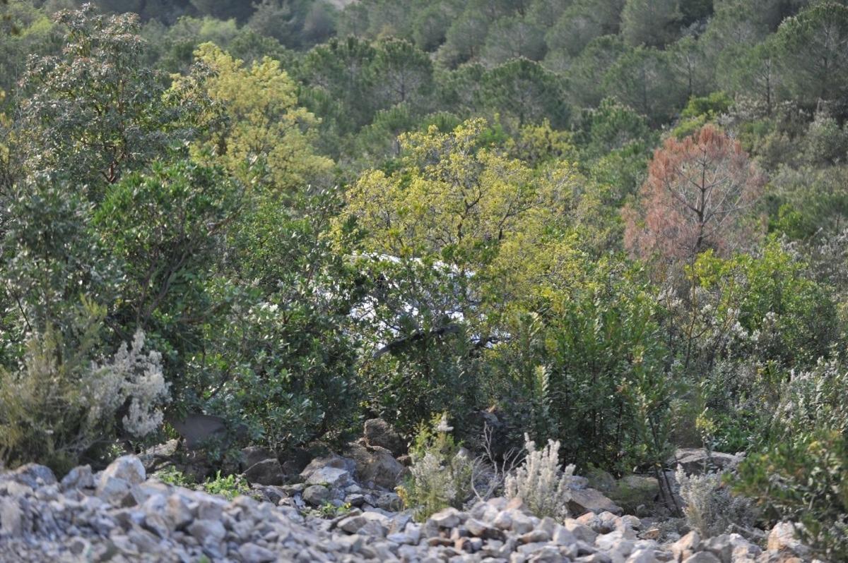 Ellerini dezenfekte ederken 30 metrelik u&ccedil;urumdan yuvarlandı