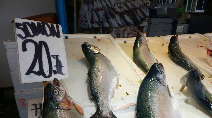 Karadeniz’de yetiştirilen somon sağlık dostu