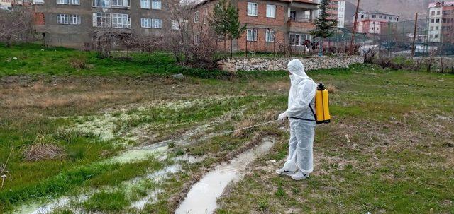 Hakkari’de larva ile mücadele çalışması