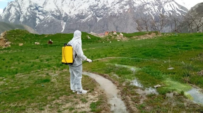 Hakkari&rsquo;de larva ile m&uuml;cadele &ccedil;alışması