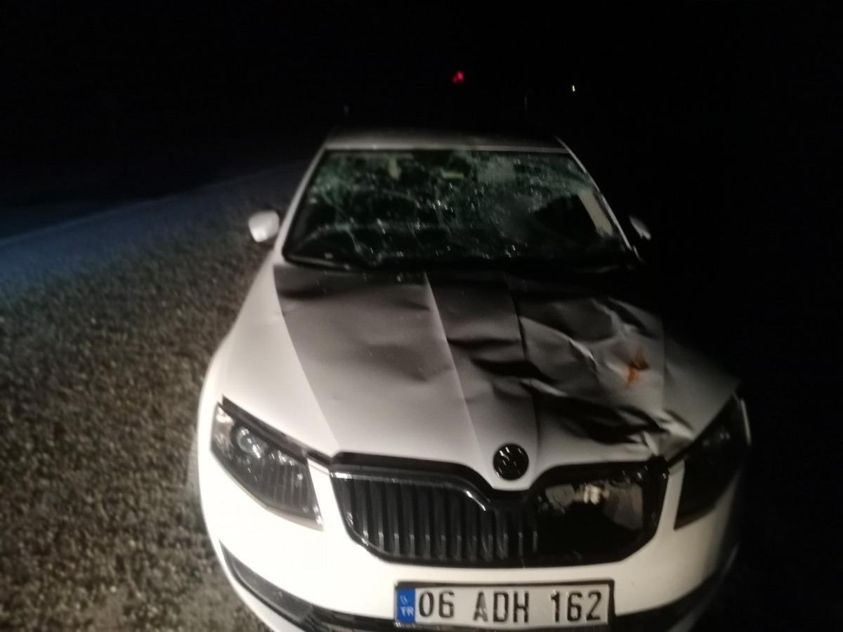 Otomobilin &ccedil;arptığı &ccedil;oban yaralandı