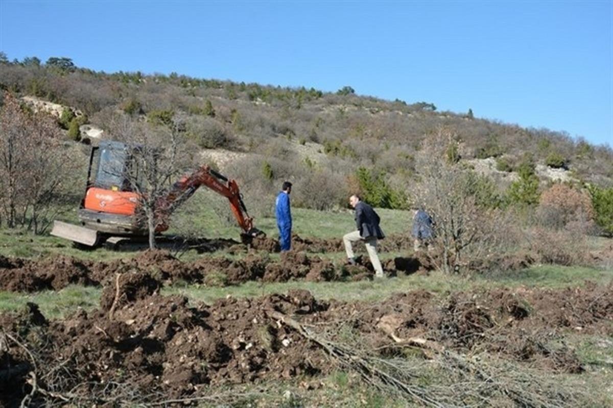 Porsuk Barajı Havzası ağa&ccedil;landırılıyor