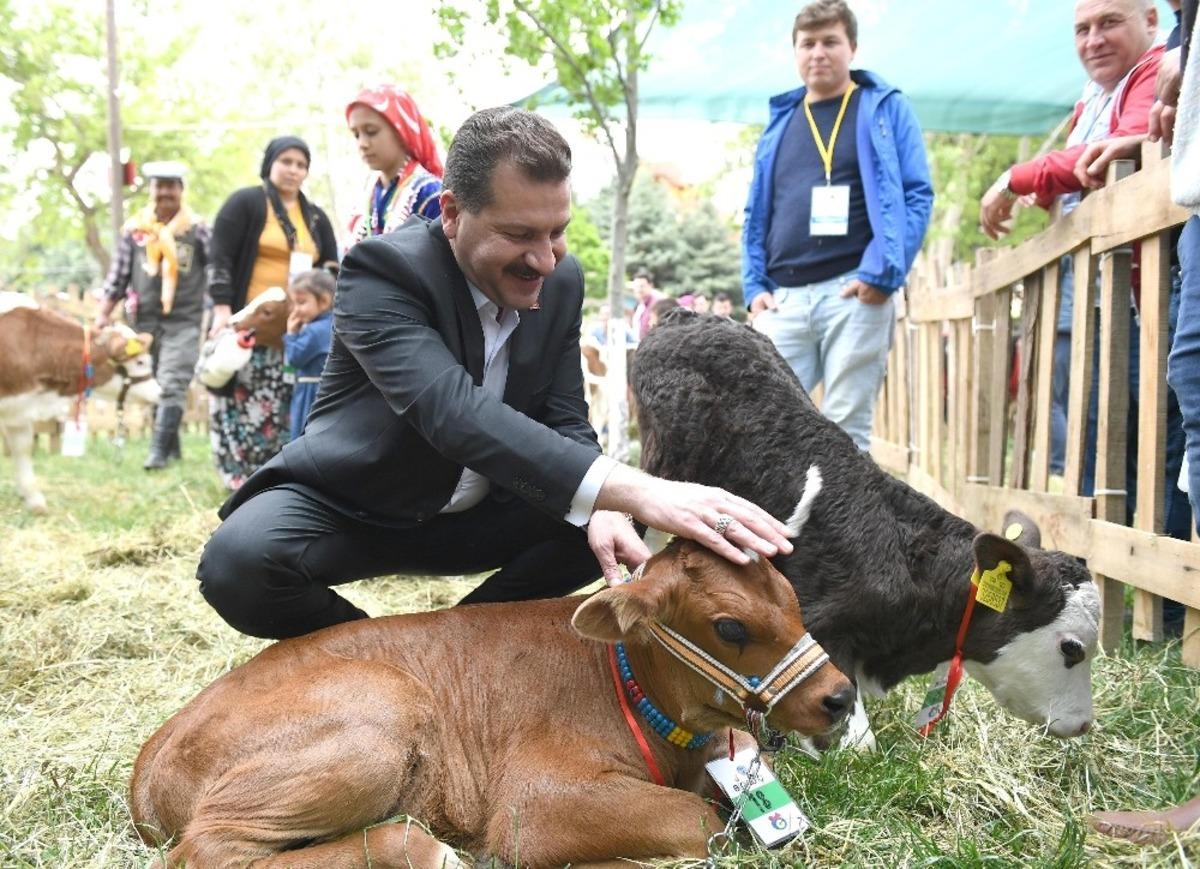 Balıkesir B&uuml;y&uuml;kşehir&rsquo;den &uuml;reticilere m&uuml;jde