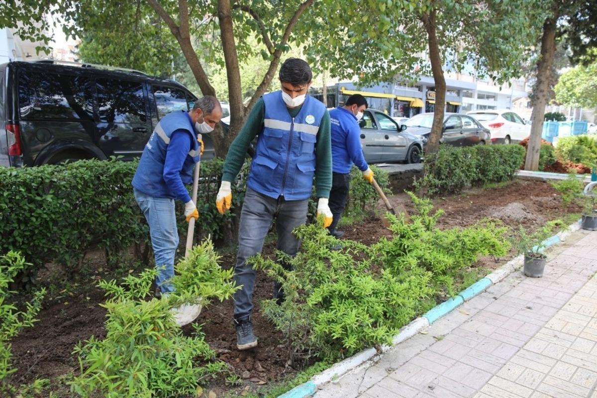 Haliliye&rsquo;de ağa&ccedil;landırma &ccedil;alışması