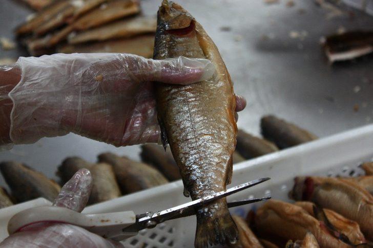 Alabalıkta dev kampanya G1