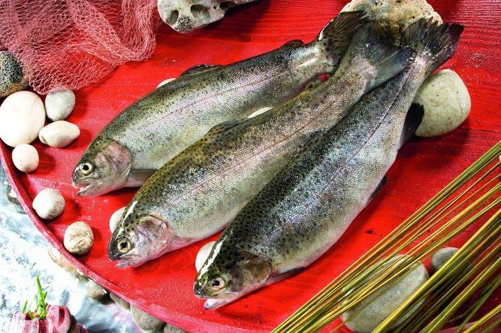 Alabalıkta dev kampanya G2