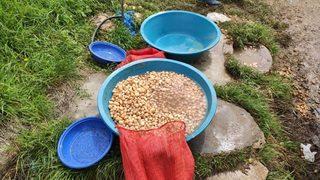 Siirt'te kaçak salep soğanı toplayan kişiye 73 bin 747 lira ceza