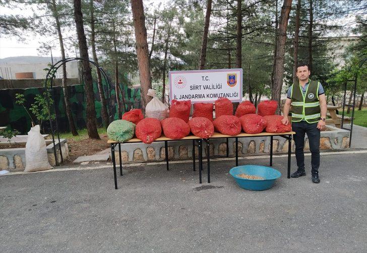 Siirt'te kaçak salep soğanı toplayan kişiye 73 bin 747 lira ceza G2