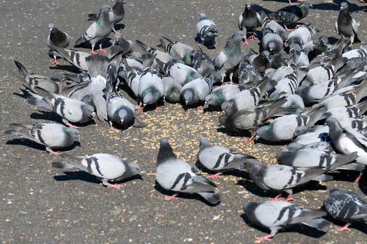 Yer: İstanbul! Sokağa çıkma yasağı öncesi akın ettiler G2
