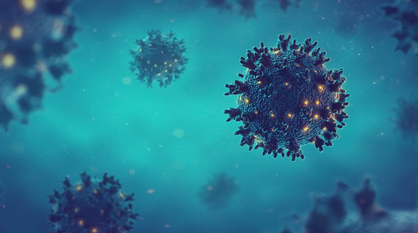 Koronavir&uuml;s karton kutularda ne kadar s&uuml;re yaşıyor?