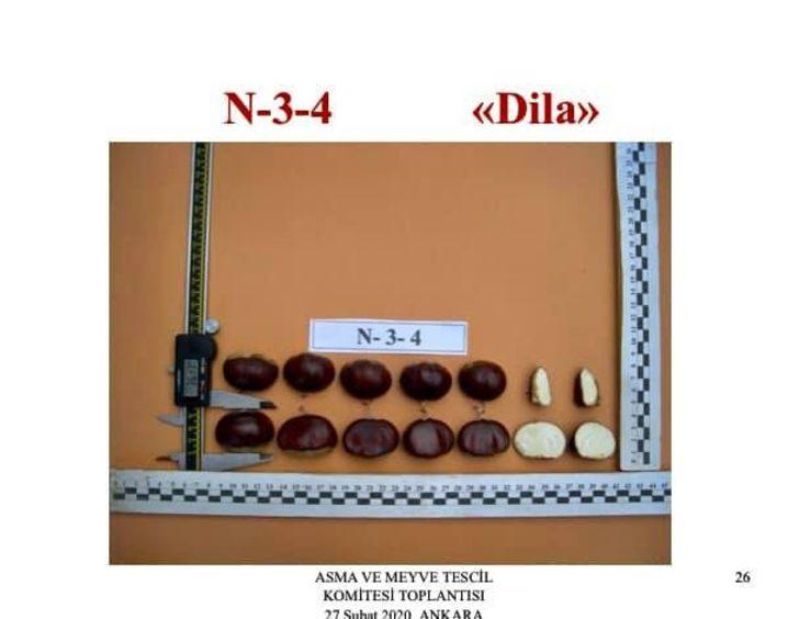 ADÜ Ziraat Fakültesi kestane üretim izni aldı G3