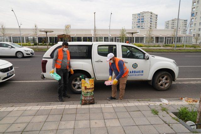 Diyarbakır Büyükşehir Belediyesi sokak hayvanlarını unutmadı