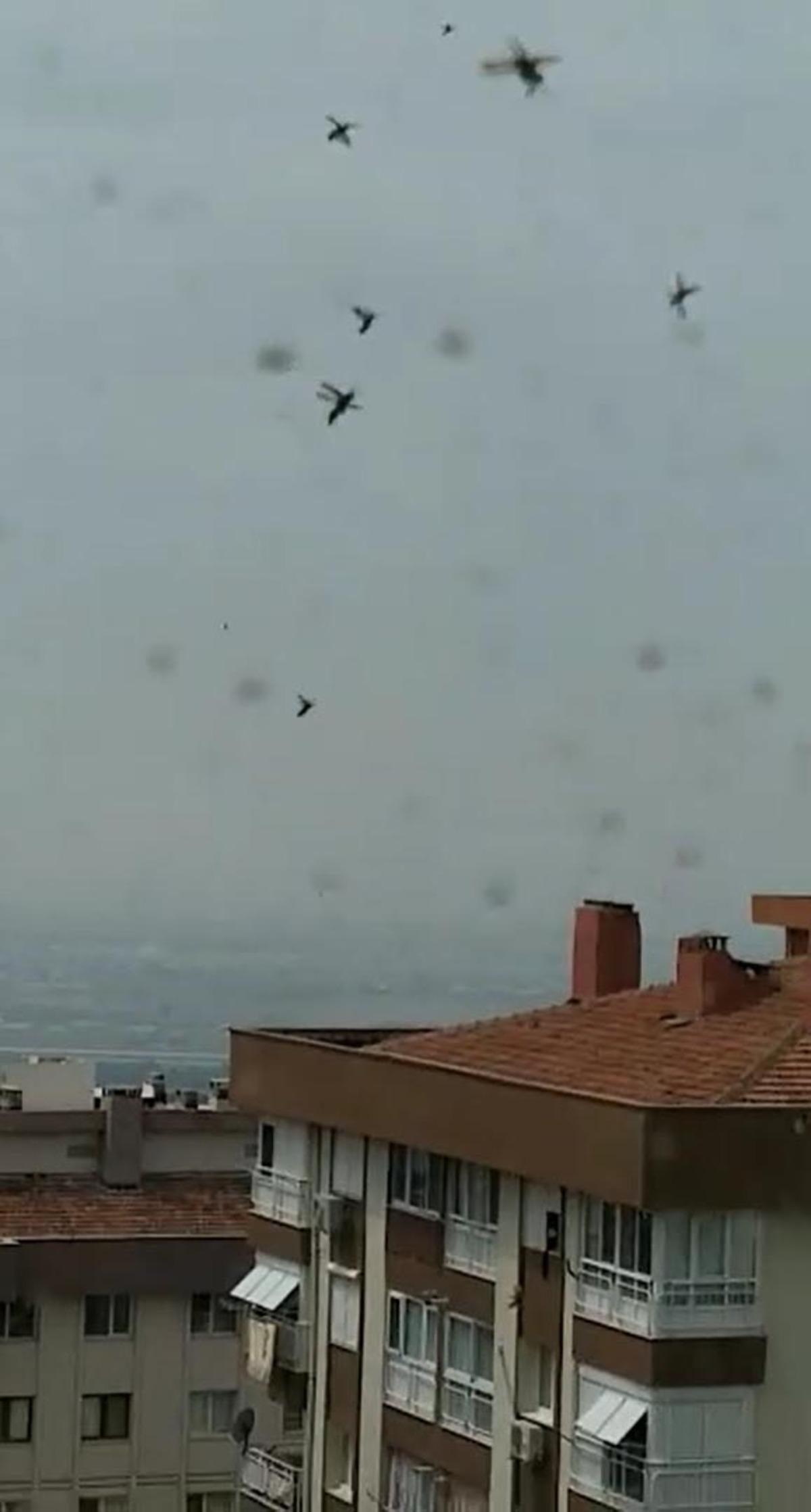 İzmir'de korkutan g&ouml;r&uuml;nt&uuml;! G&ouml;zlerine inanamadı