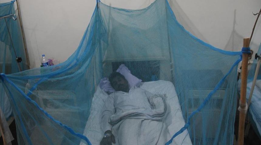 Malezya'da son 4 ayda 38 bin 240 dang humması vakası görüldü