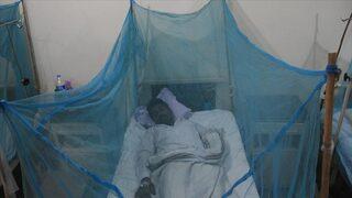 Malezya'da son 4 ayda 38 bin 240 dang humması vakası görüldü