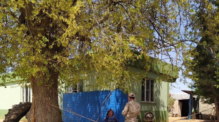 Polateli il&ccedil;esinde 236 kişiye bin TL &ouml;deme yapıldı