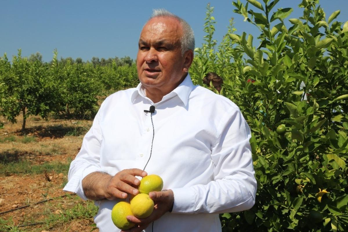 Başkan Tollu: "Limonda ihracat kapıları bir an &ouml;nce a&ccedil;ılmalı"