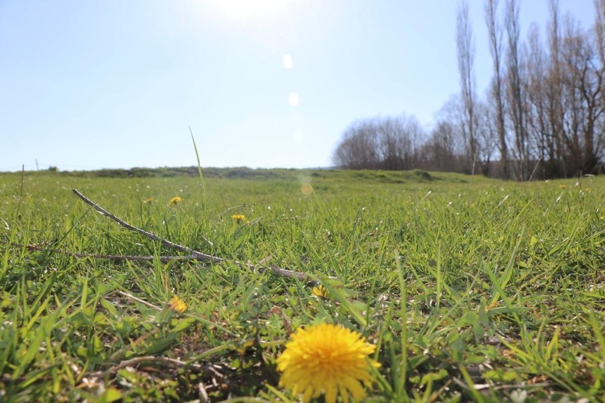 Seyitgazi Akin&rsquo;de baharın g&uuml;zelliği
