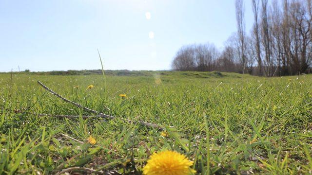 Seyitgazi Akin’de baharın güzelliği