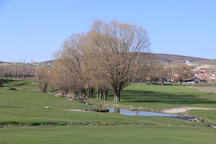 Seyitgazi Akin’de baharın güzelliği G2