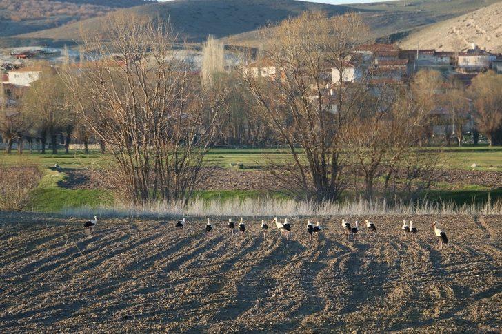 Seyitgazi Akin’de baharın güzelliği G3