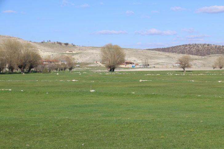 Seyitgazi Akin’de baharın güzelliği G4