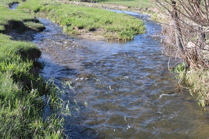 Seyitgazi Akin’de baharın güzelliği G5