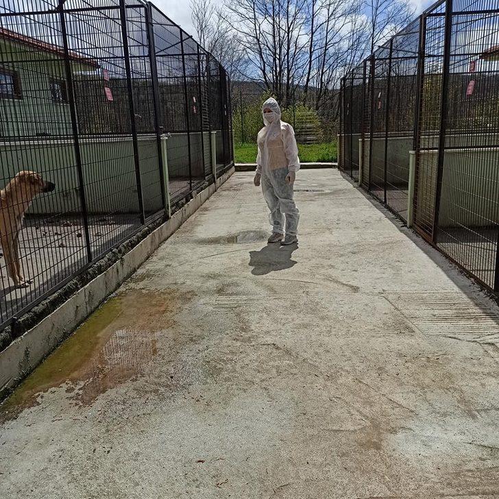 Hayvan Bakım evlerine denetleme yapıldı G2